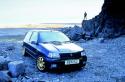 gti/renault_clio_williams-3/RENAULT-clio-williams-3629.jpg