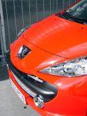 peugeot/peugeot_207_rc-2/PEUGEOT-207-rc-3971.jpg
